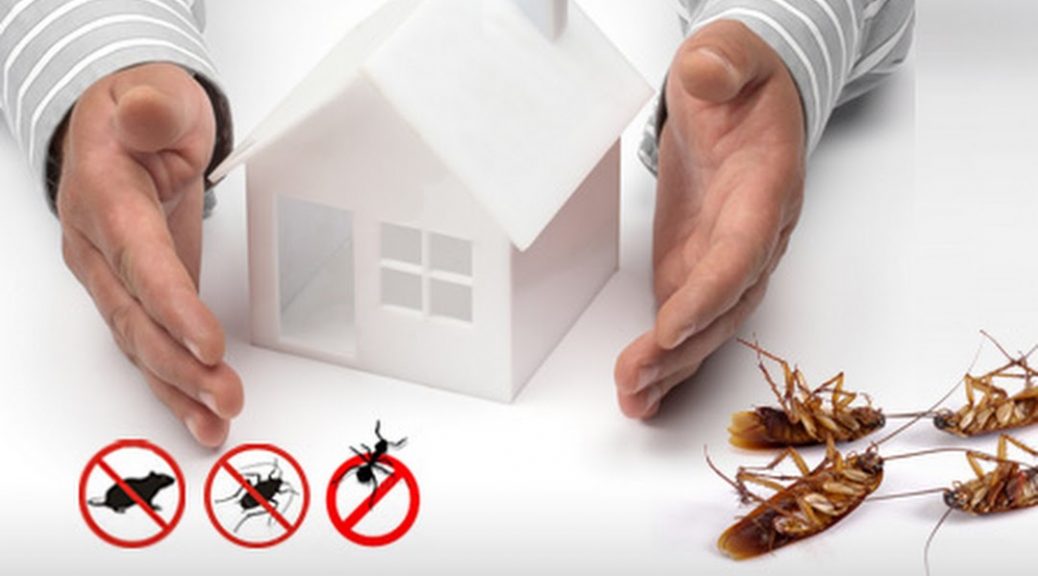 A Great Way to Reduce Termite Treatment Costs